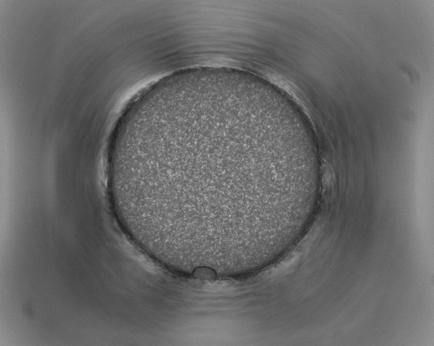 X0000113240979200910221057