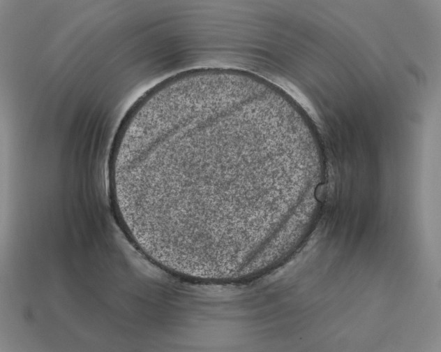 X0000113240980200910221057