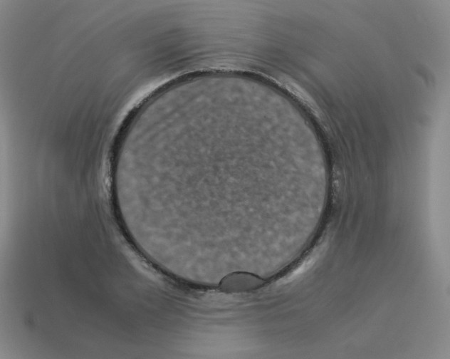 X0000113240981200910221057