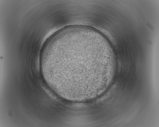 X0000113240982200910221057