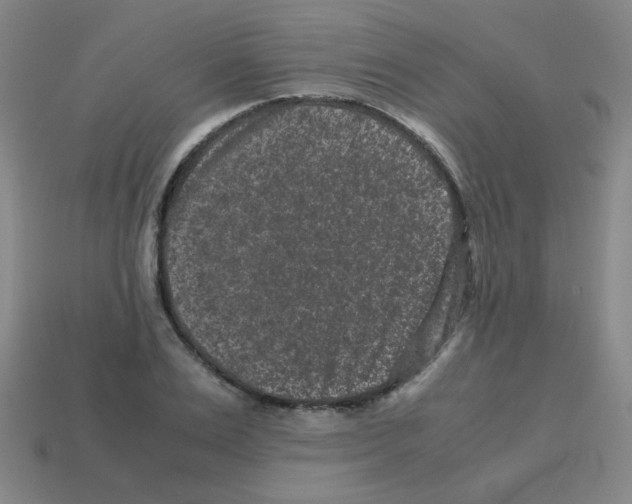 X0000113240983200910221057