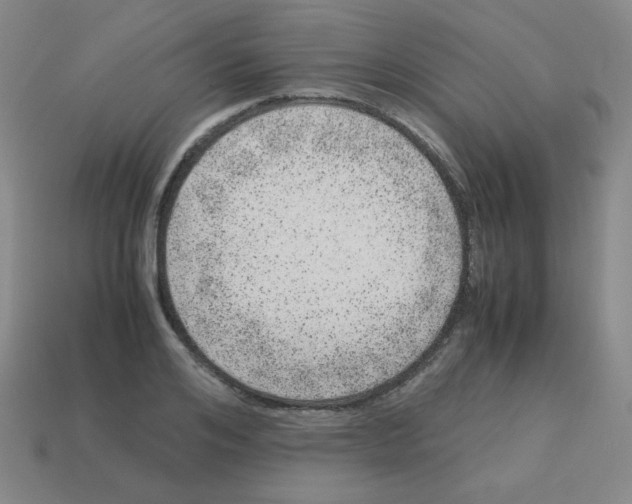 X0000113240984200910221057
