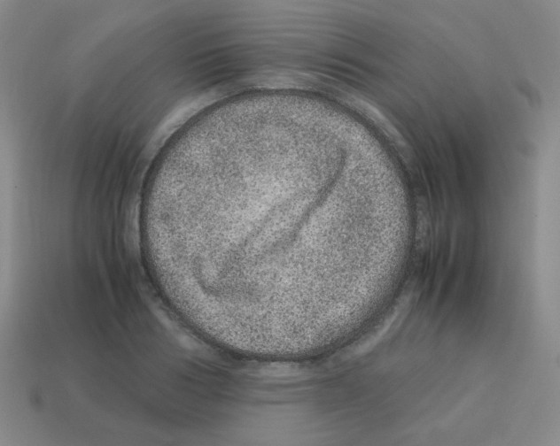 X0000113240986200910221057