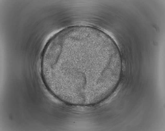 X0000113240987200910221057