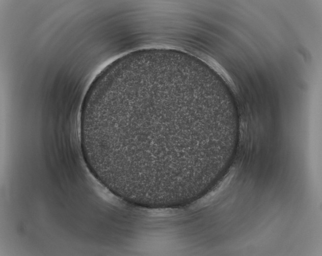 X0000113240988200910221057
