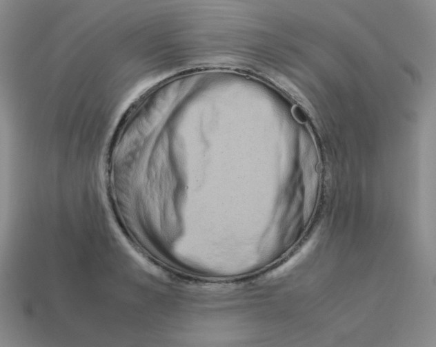 X0000113240989200910221057