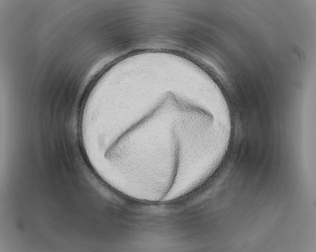 X0000113240990200910221057