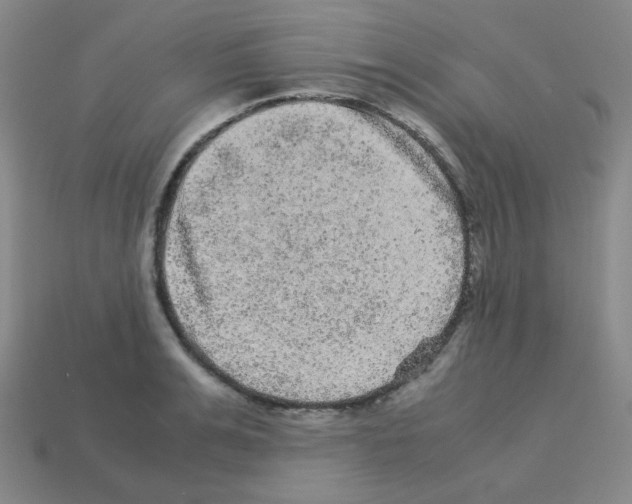 X0000113240991200910221057