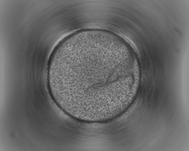 X0000113240992200910221057
