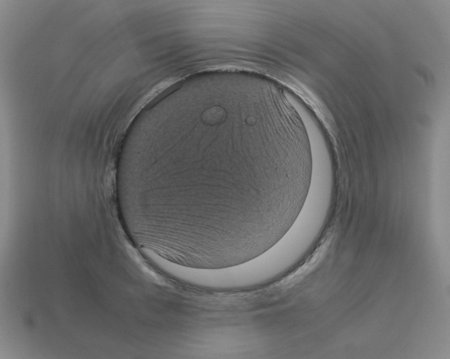 X0000113240993200910221057