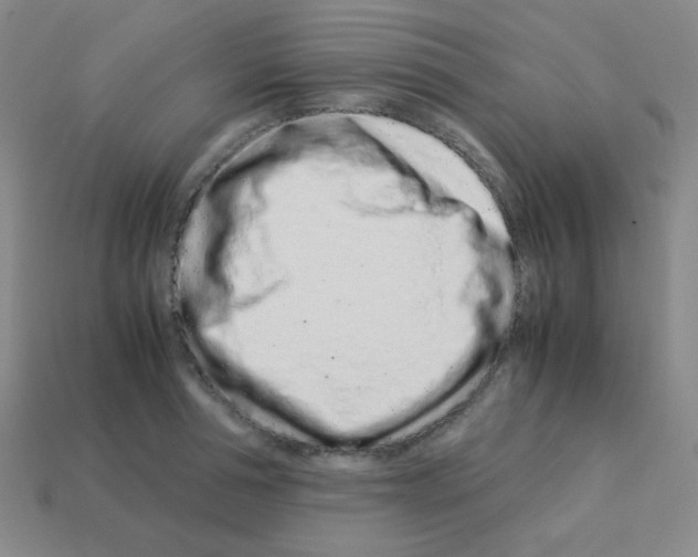 X0000113240994200910221057