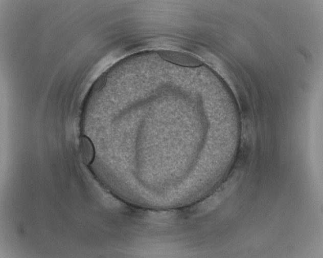 X0000113240997200910221057