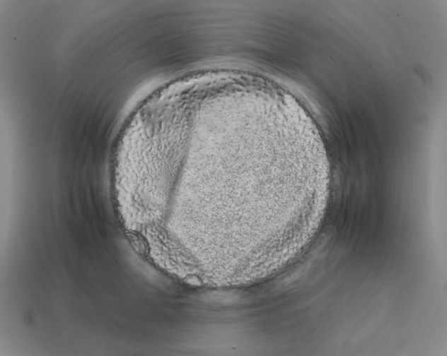 X0000113240998200910221057