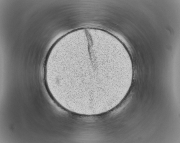 X0000113240999200910221057