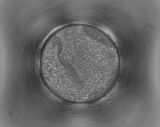 X0000113241000200910221057