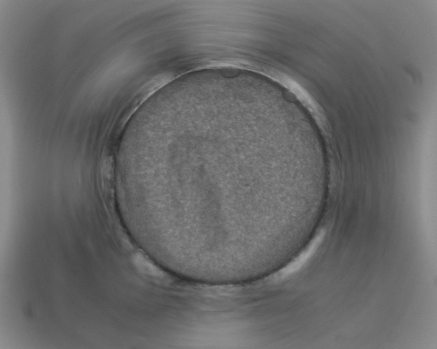 X0000113241001200910221057