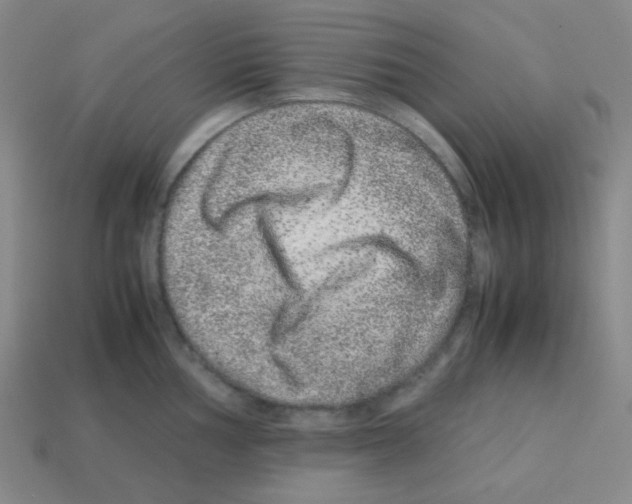 X0000113241002200910221057