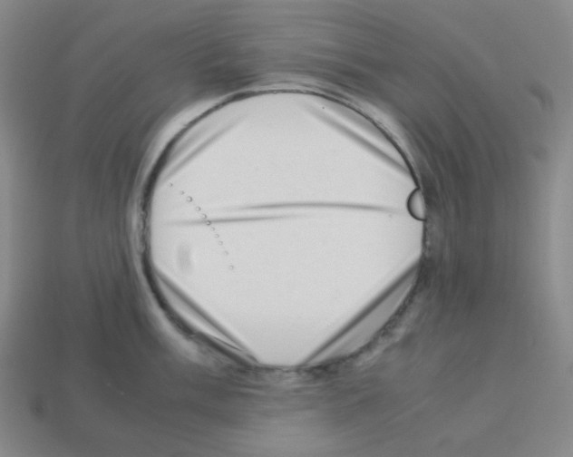 X0000113241003200910221057
