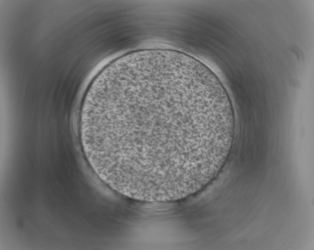 X0000113241008200910221057
