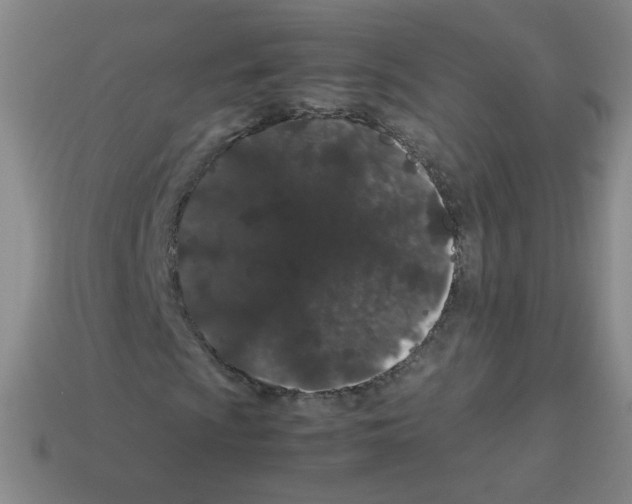 X0000113241009200910221056
