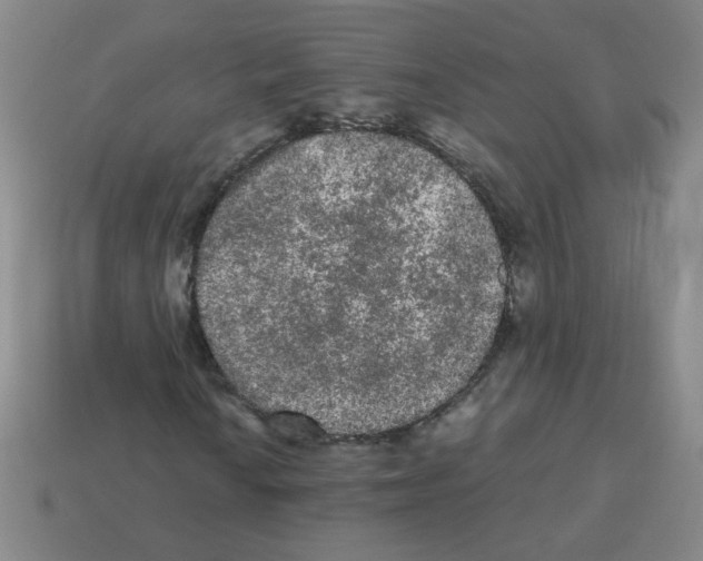 X0000113241010200910221056
