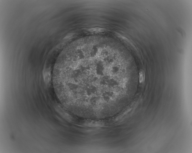 X0000113241011200910221056