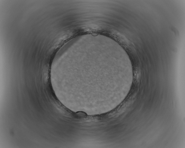 X0000113241012200910221056