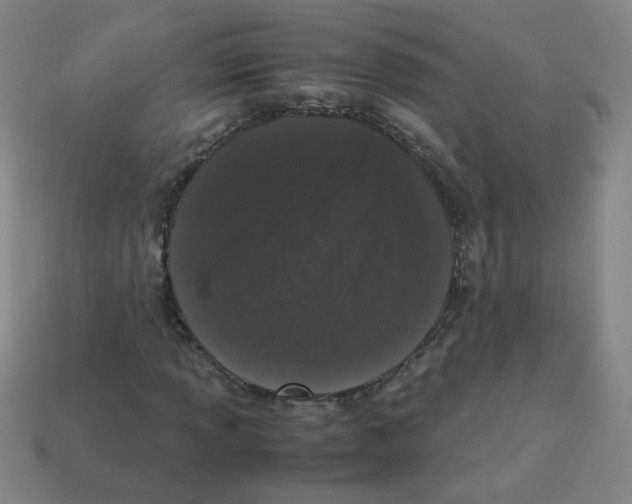 X0000113241013200910221056