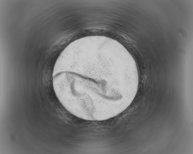 X0000113241014200910221056