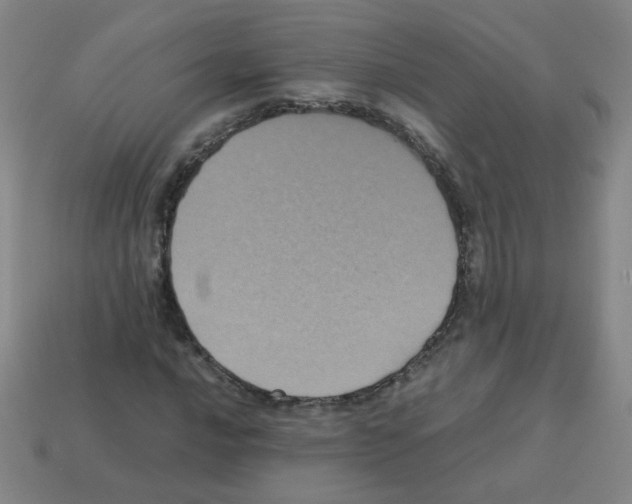 X0000113241016200910221056