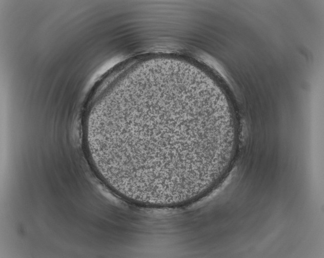 X0000113241018200910221056