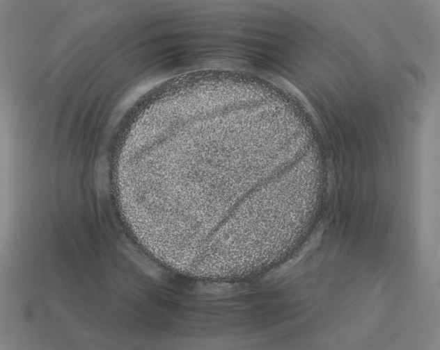 X0000113241019200910221056
