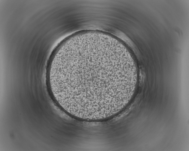 X0000113241020200910221056