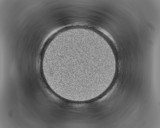 X0000113241021200910221056