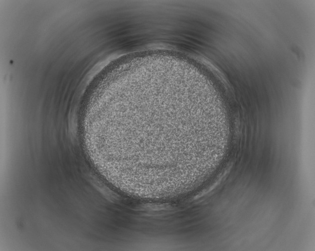 X0000113241023200910221056