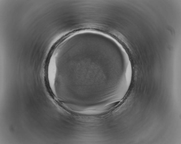 X0000113241024200910221056