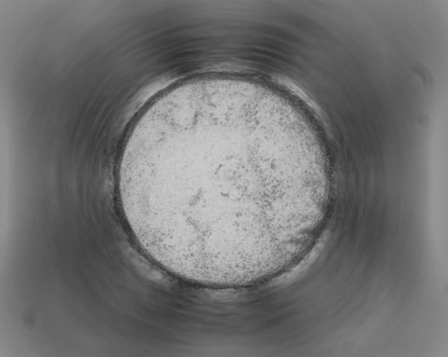 X0000113241025200910221056