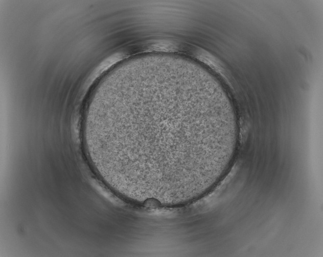 X0000113241026200910221056