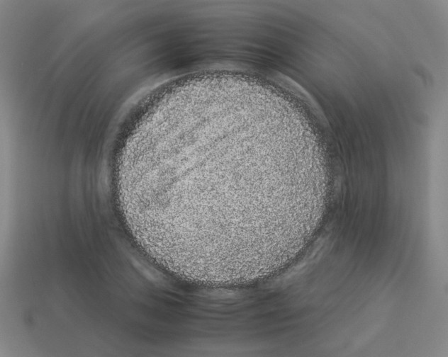 X0000113241027200910221056