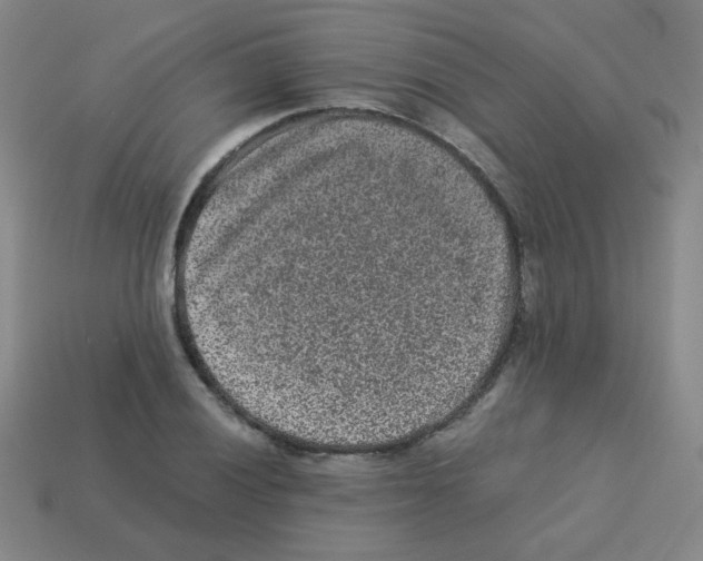 X0000113241028200910221056