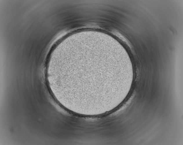 X0000113241029200910221056