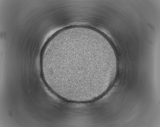 X0000113241030200910221056