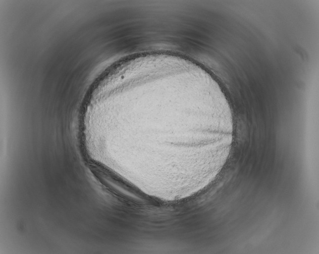 X0000113241031200910221056