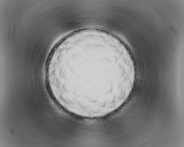 X0000113241032200910221056