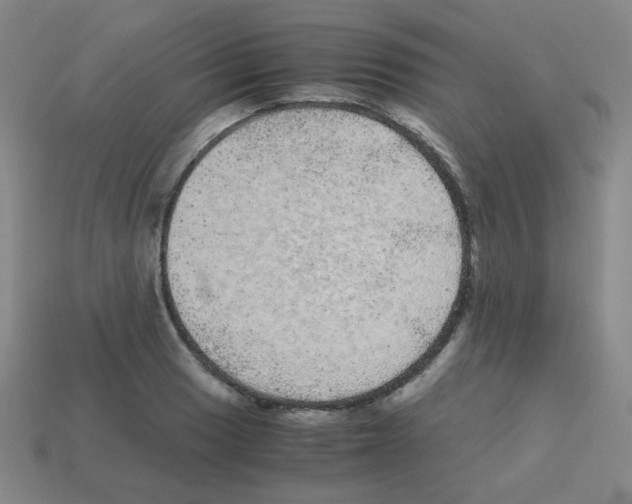 X0000113241033200910221056