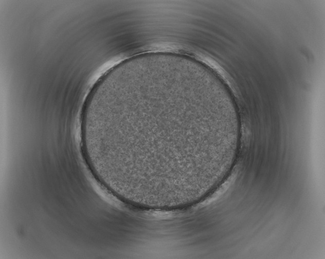 X0000113241034200910221056
