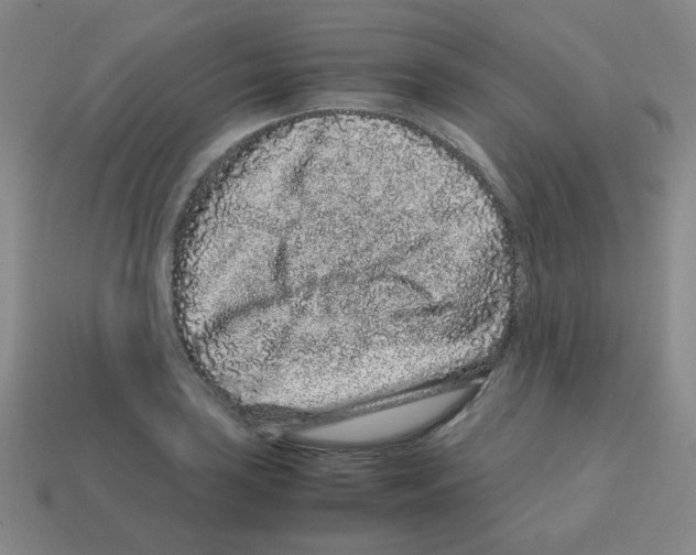 X0000113241035200910221056