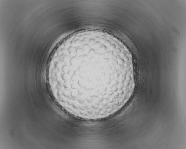 X0000113241036200910221056