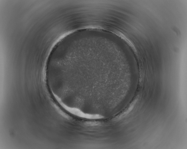 X0000113241037200910221056