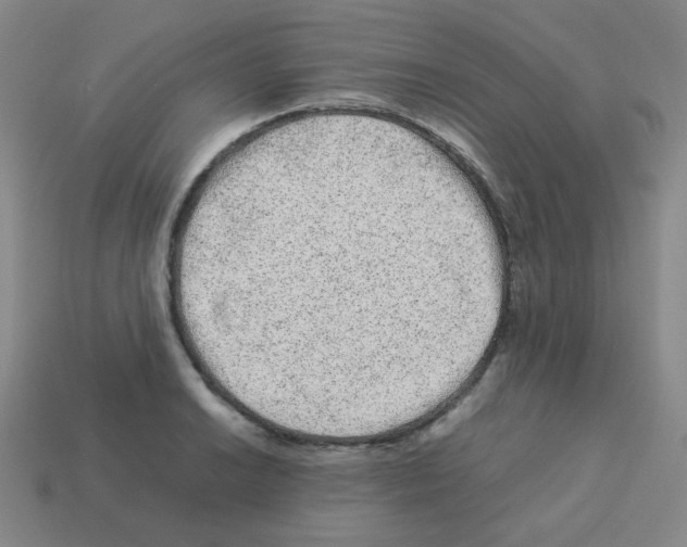 X0000113241038200910221056